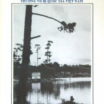Đa Hiệu 21 PDF Viewer